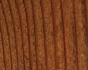 Wood Defender Transparent Leatherwood stain on wood fence