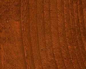 Wood Defender Semi-Transparent Sierra stain on wood fence